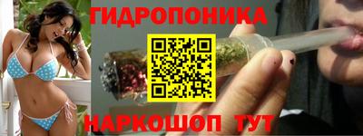 твердый Лесосибирск