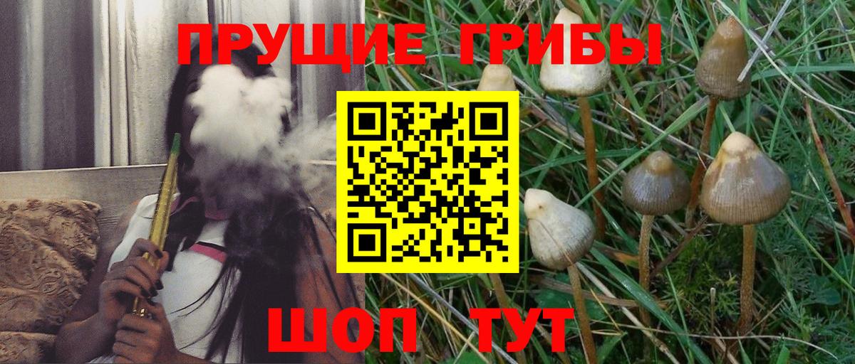 Галлюциногенные грибы Cubensis Ипатово